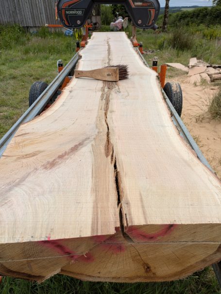 Oak pith - instant split