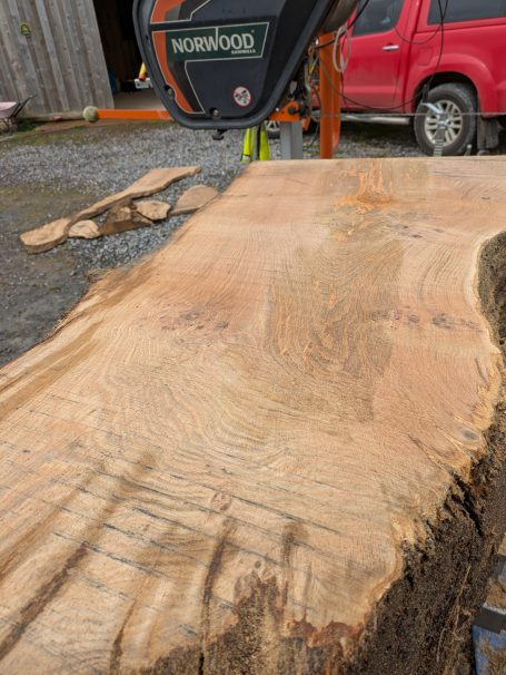 Knarly oak - 30yrs down and still wet inside
