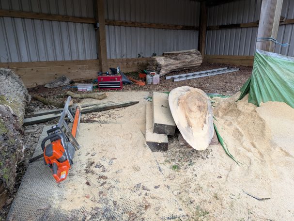 Chainsaw milling Poplar undercover Difficult to move logs